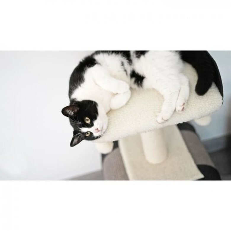 AIME árbol rascador 1 piso de yute para gatos, , large image number null