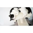 AIME árbol rascador 1 piso de yute para gatos, , large image number null