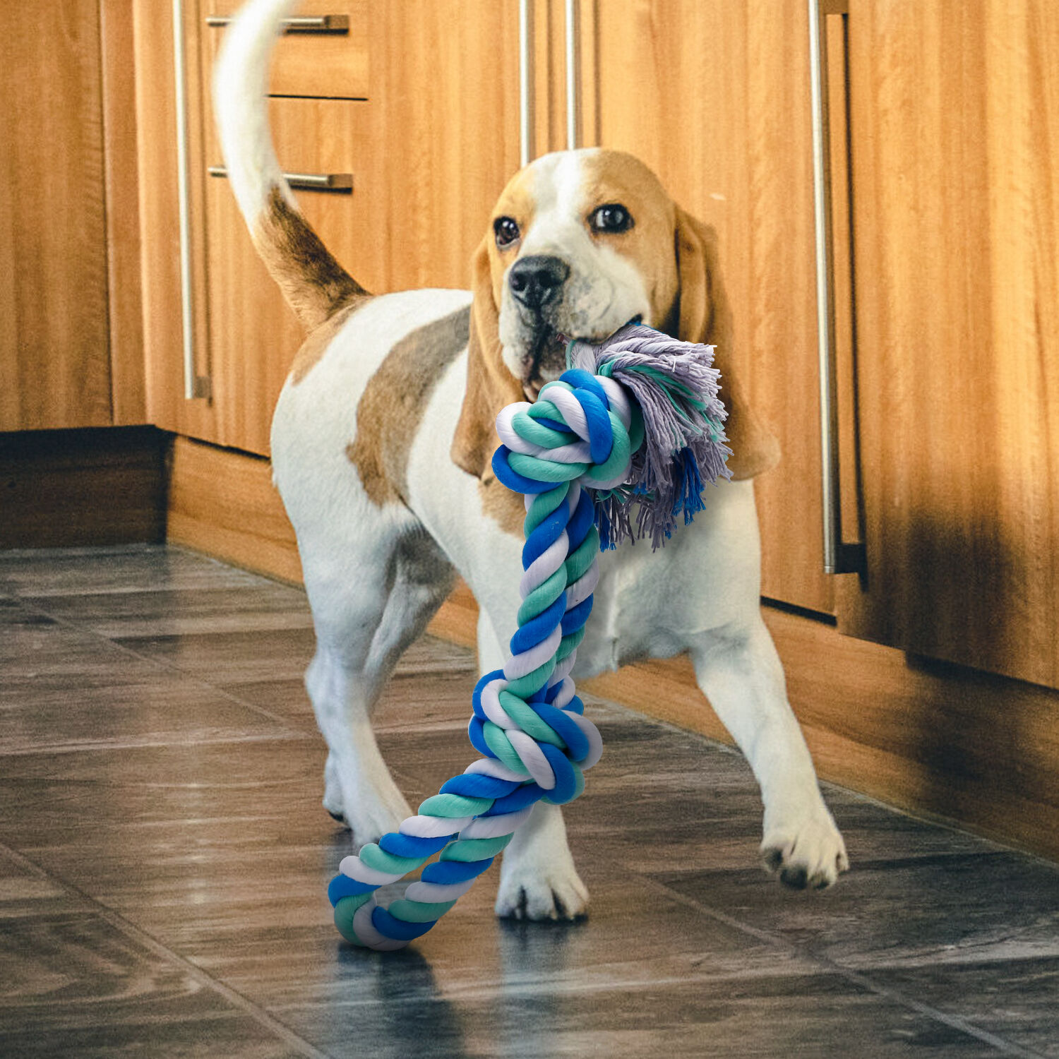 Nobleza Juguetes de Cuerda para Perros thumbnail