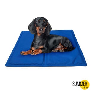 Summer Vibes Manta Refrescante Azul para perros