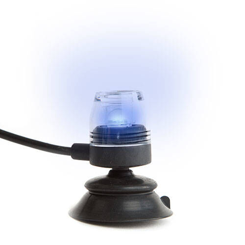 Hydor Luz led azul para acuarios, , large Imagen numero 1