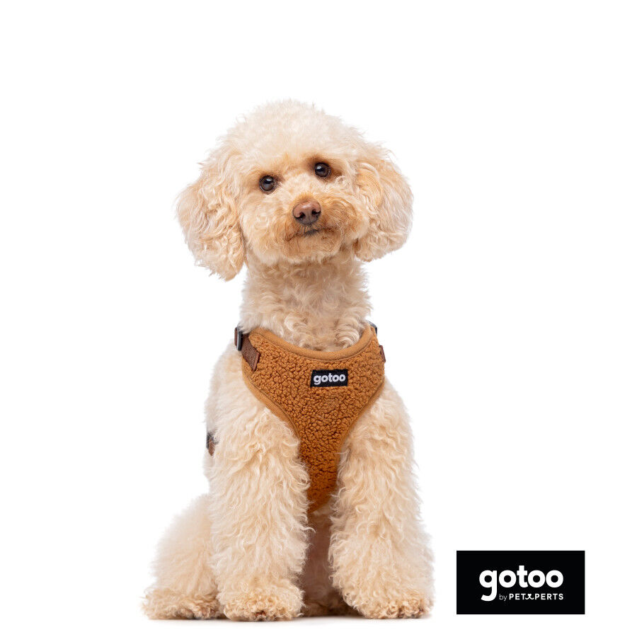 Gotoo Arnés ajustable teddy marrón para perros thumbnail