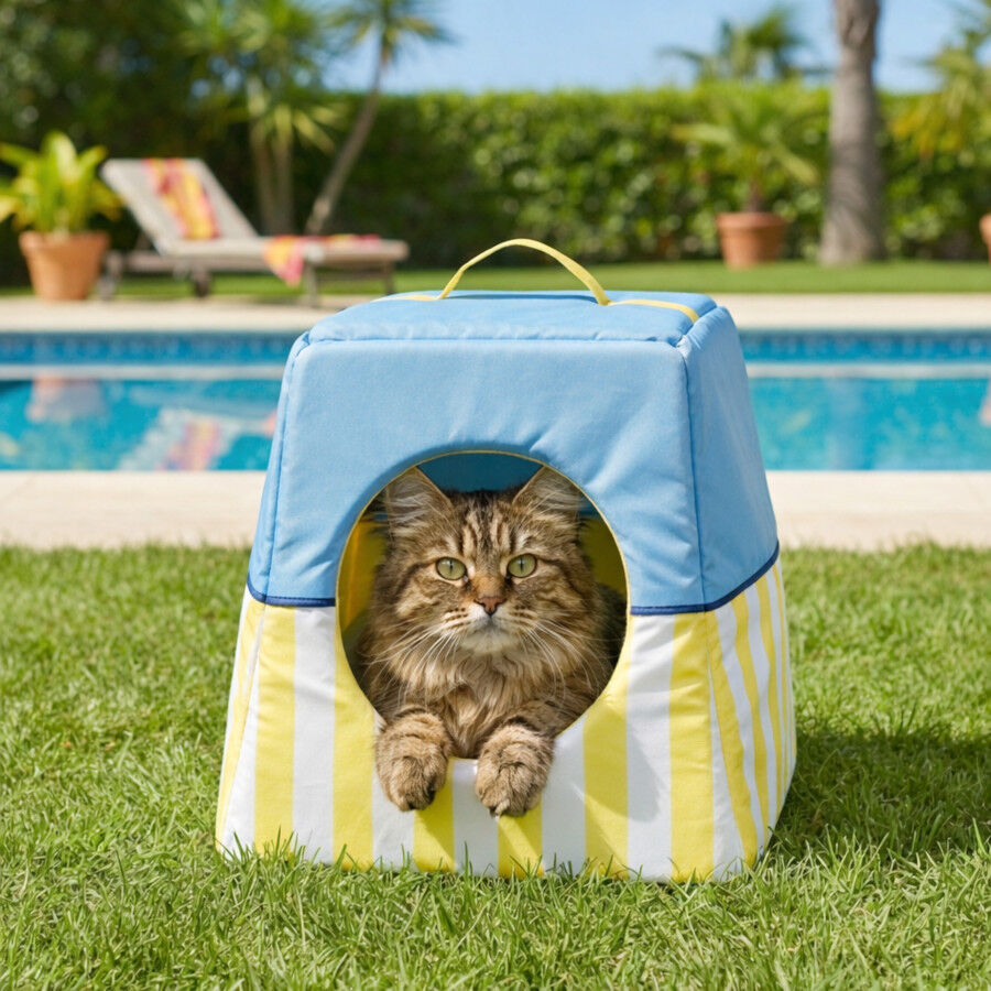 Summer Vibes Cama Cueva Azul y Amarillo para gatos, , large Imagen numero 1