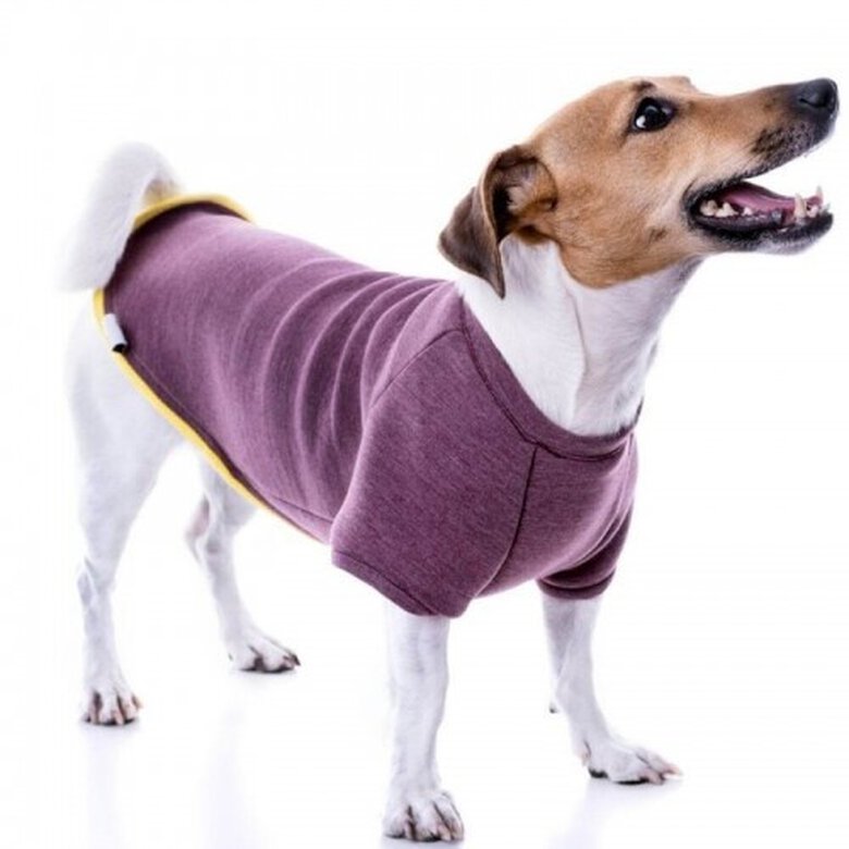 Sudadera nun neopreno para perros color Berenjena, , large image number null
