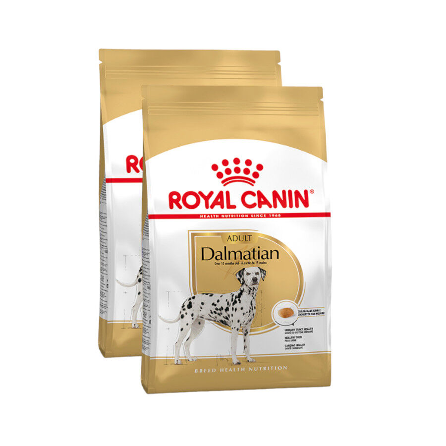 Royal Canin Adult Dálmata pienso para perros