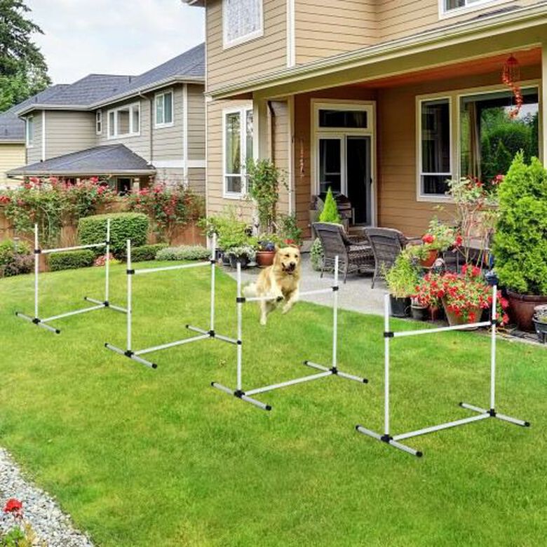 PawHut Set de Entrenamiento de Agilidad para perros thumbnail