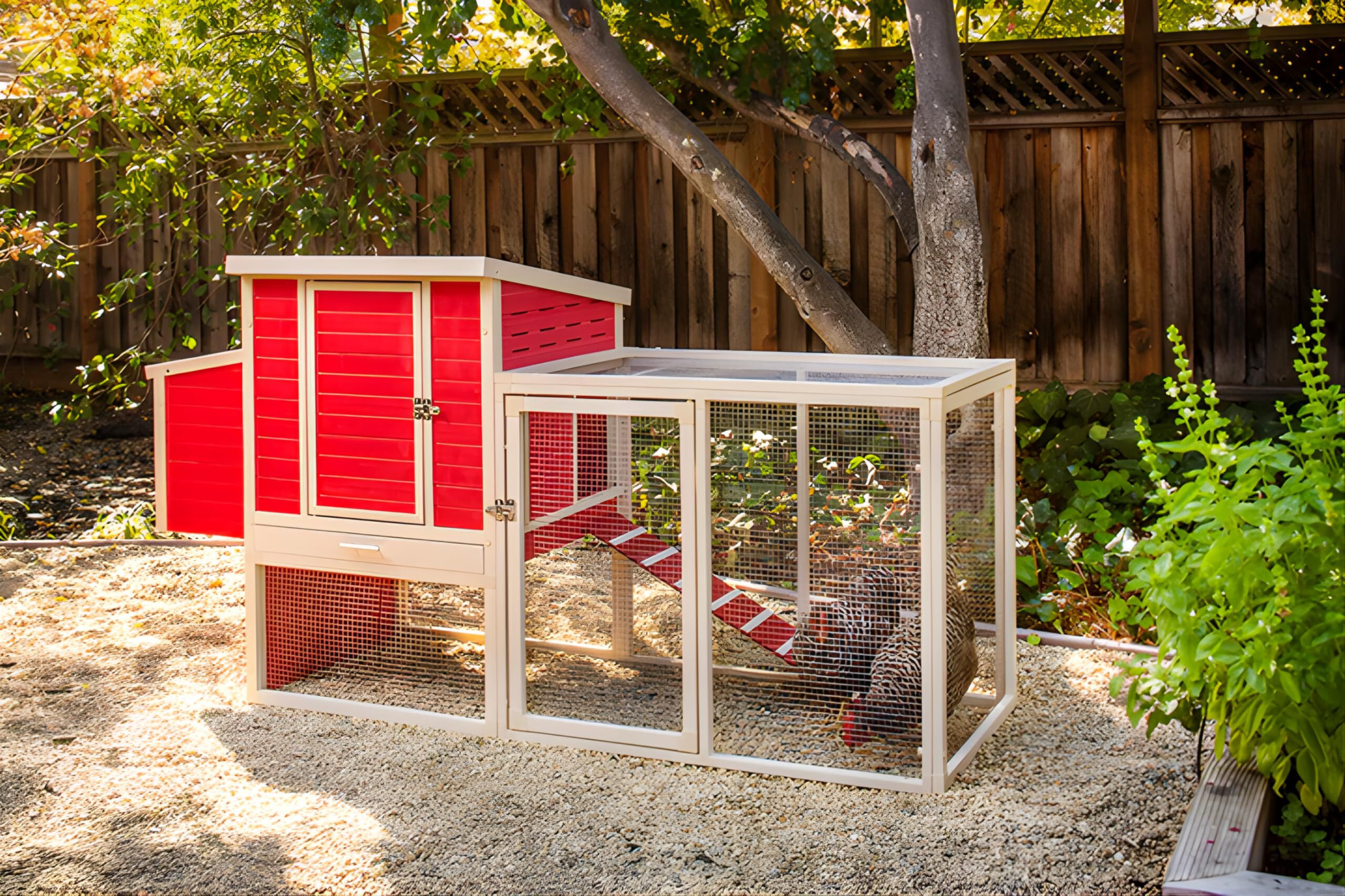 Gallinero Sonora con Parque para Exterior Capacidad 4-5 Aves - ECOFLEX Material sostenible y Duradero. F&aacute;cil Montaje, , large Imagen numero 2