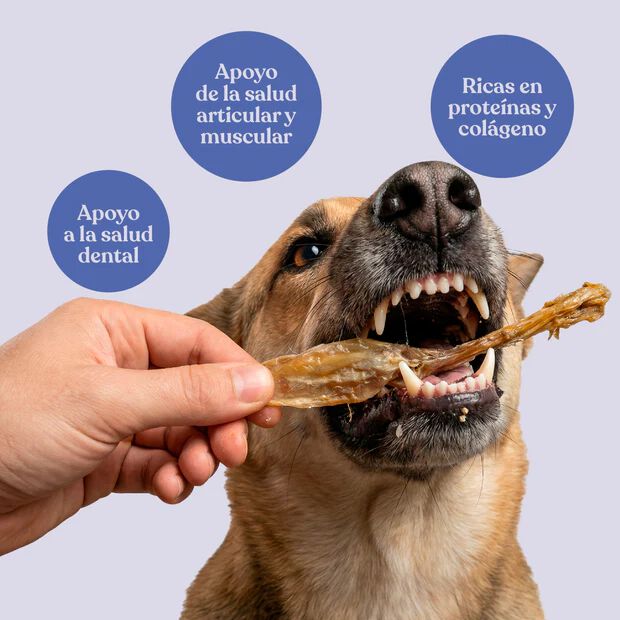 dr. bimix Orejas de Conejo sin Pelo para Perros 200g, , large Imagen numero 2