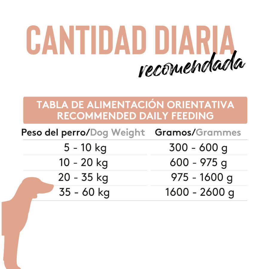 190 g Dibaq Sense Lata Salm&oacute;n para perro, , large Imagen numero 2