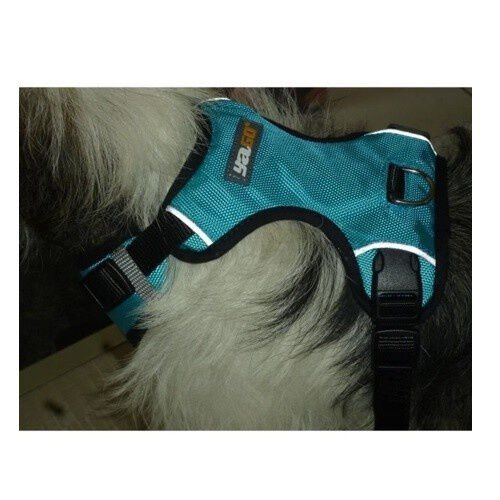 Yago Arn&eacute;s Impermeable para perros peque&ntilde;os, , large Imagen numero 4