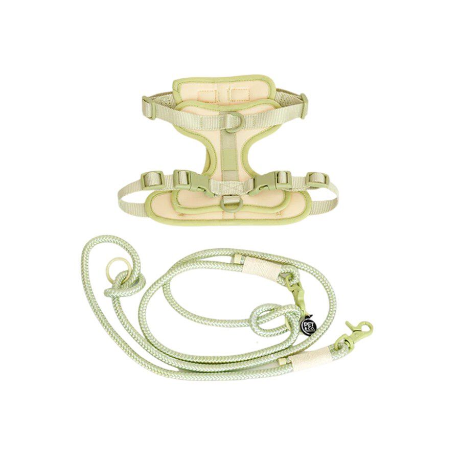 Pet and Co Set De Arn&eacute;s y Correa Vainilla Rex - Perros, , large Imagen numero 1