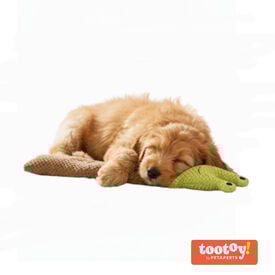 Tootoy! Caracol de Peluche Extensible con Sonido para perros