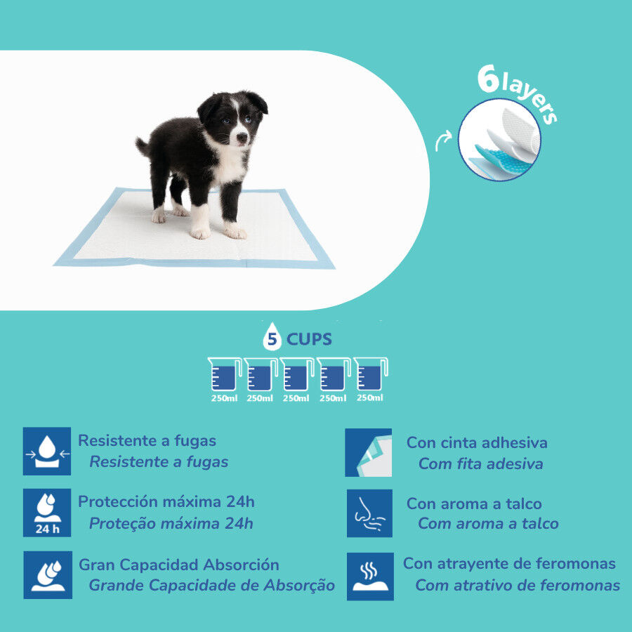 Nice Care Empapadores Premium para perros, , large Imagen numero 2