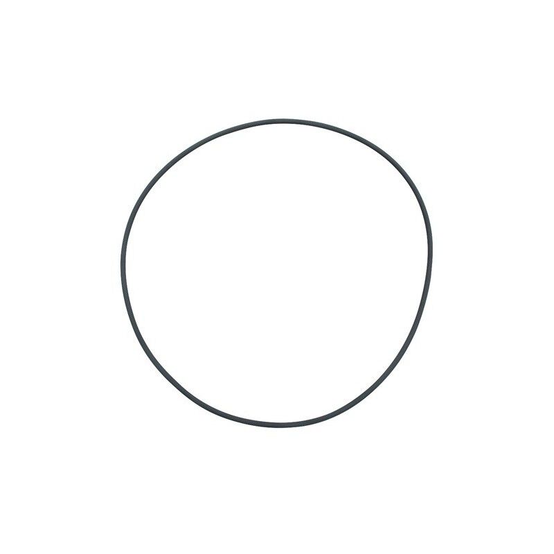 Fluval Repuesto Junta Tórica de vaso de filtros FX 2/4/6  para acuarios