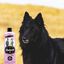 Petuxe champú potenciador de color para mascotas, , large indicador imagen numero 2