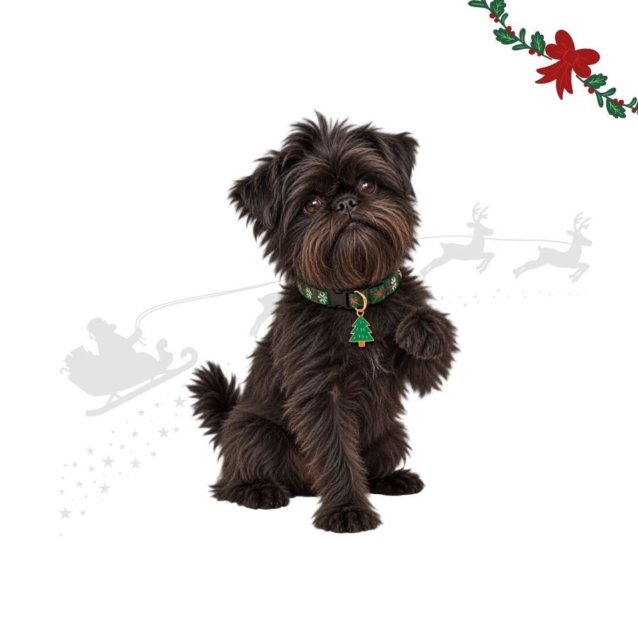 Wonder Christmas Colgante Collar &Aacute;rbol Navidad para perros, , large Imagen numero 1