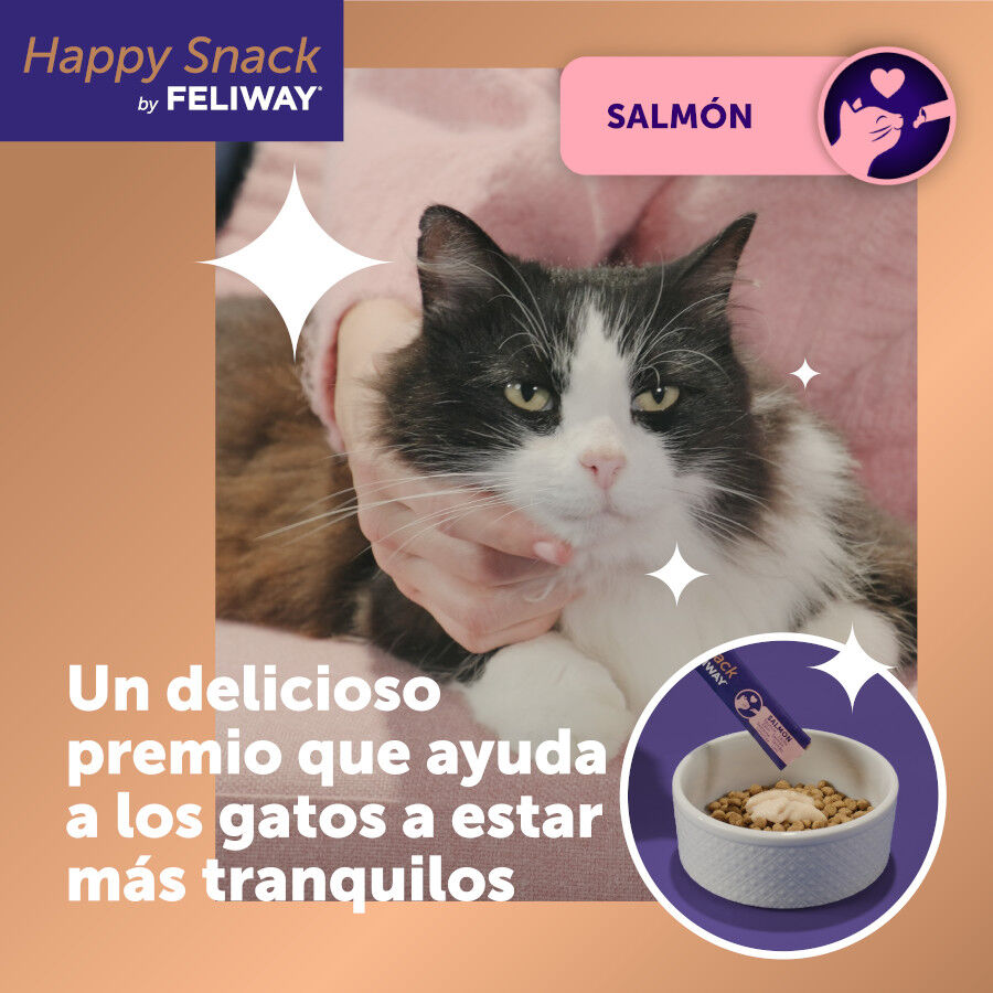 6 barritas Feliway Ceva Happy Snack Salm&oacute;n para gatos, , large Imagen numero 2