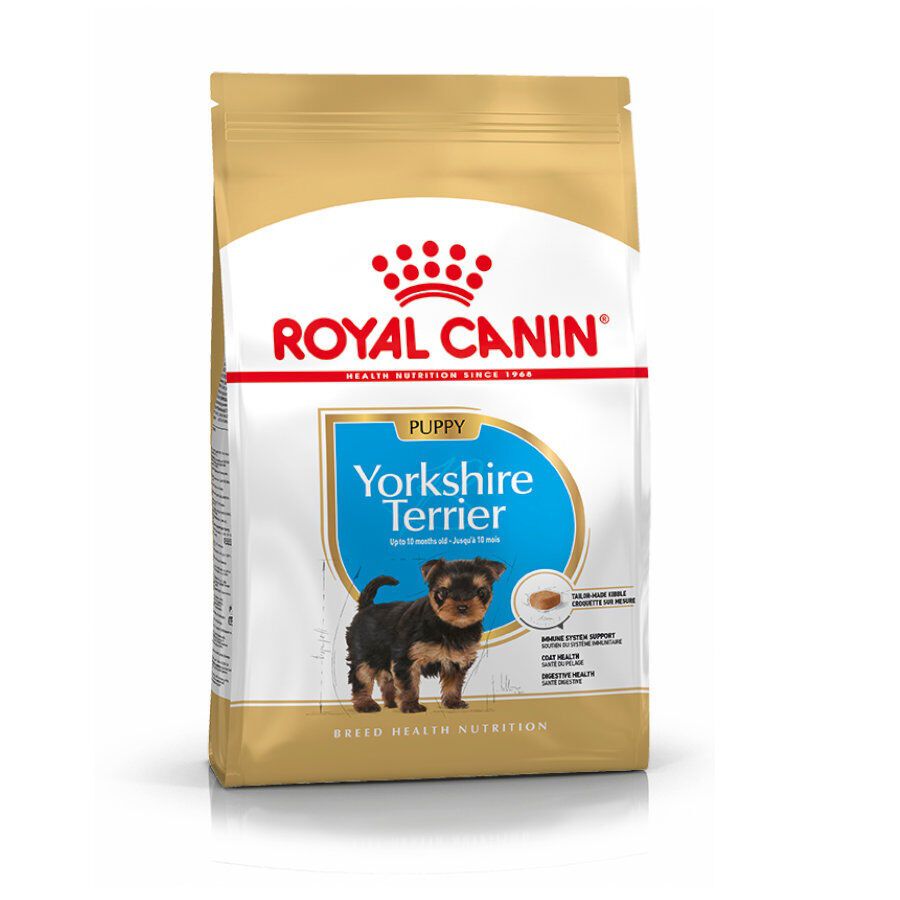 Royal Canin Puppy Yorkshire Terrier pienso para cachorros thumbnail