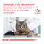 4 kg Royal Canin Veterinary Renal pienso para gatos, , large indicador imagen numero 10