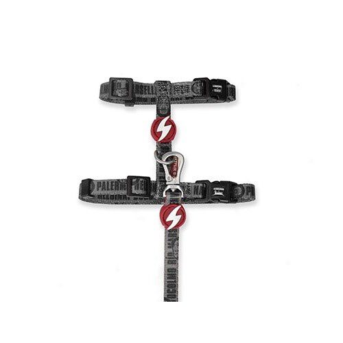 Arn&eacute;s + Correa La Casa de Papel Melted para gatos, , large Imagen numero 2