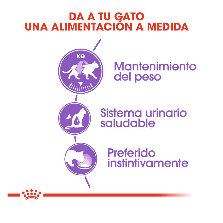 Royal Canin Sterilised Paté sobre para gatos thumbnail