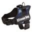 Arnés Xtreme para perros color Azul, , large indicador imagen numero 1
