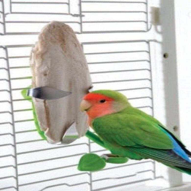 Soporte con forma de hoja para aves color Verde, , large image number null