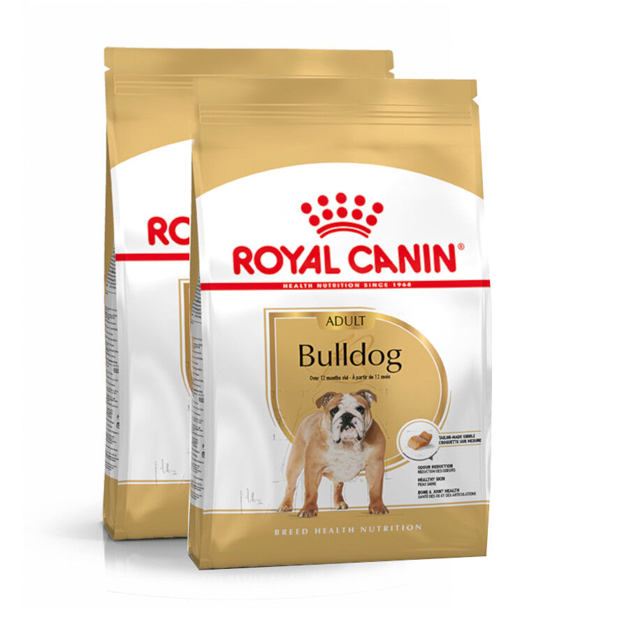 Royal Canin Adult Bulldog pienso para perros