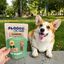 Floopp Bites Galletas Naturales Vegetarianas para Perros | Go Veggie! 95 g, , large indicador imagen numero 2