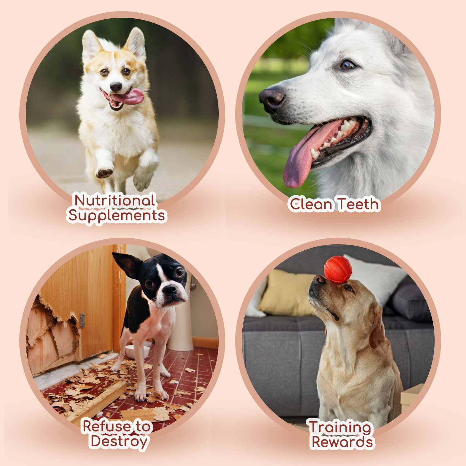 Nobleza - Snacks para Perros - Chips de Bacalao Enrollados con Pollo - Chuches Natural para Perros - Golosinas para perro - Premios y Recompensas para perros - L10 cm, 6 bolsas x 80 gr, , large Imagen numero 5