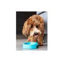 Cuenco antibacteriano Hero Hownd para perros color Aguamarina, , large image number null