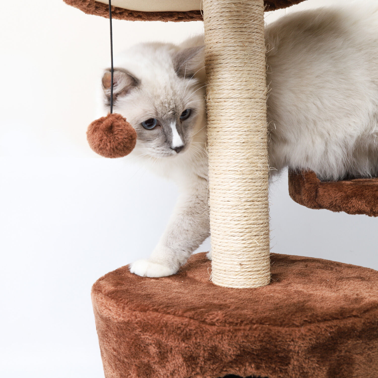 Nobleza - &Aacute;rbol rascador para gatos de dos plataformas con cueva y juguetes colgantes. Color marr&oacute;n, 60 cms., , large Imagen numero 4