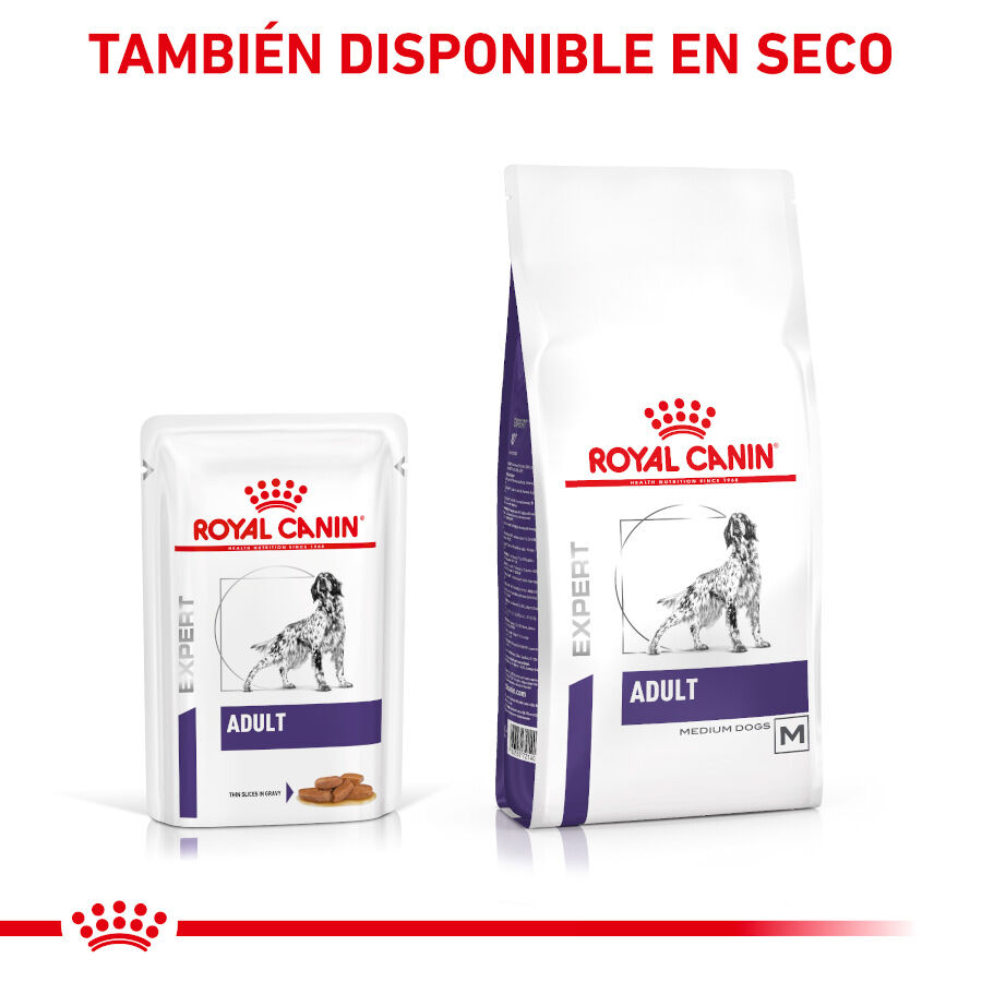 Royal Canin Expert Adult Sobre en Salsa para perros thumbnail