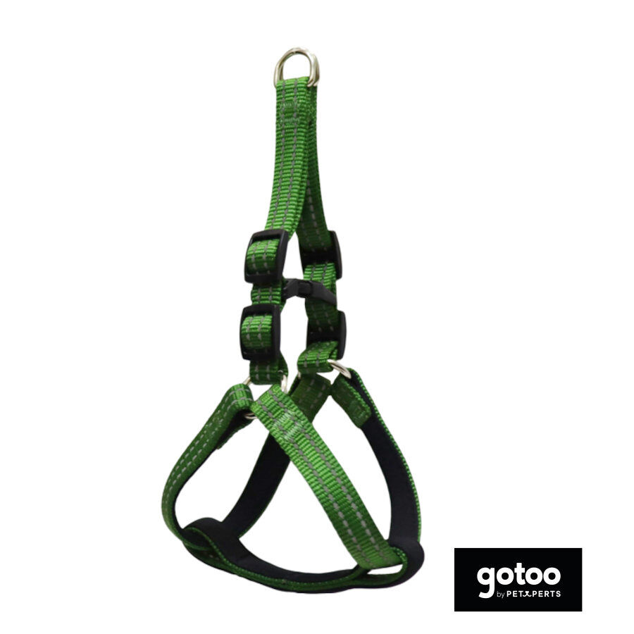 Gotoo Arn&eacute;s reflectante de neopreno verde para perros, , large Imagen numero 2