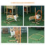 PawHut Juego de Agilidad Naranja, , large indicador imagen numero 4