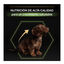 3 kg Pro Plan Puppy Small y Mini Pollo pienso para cachorros, , large indicador imagen numero 6