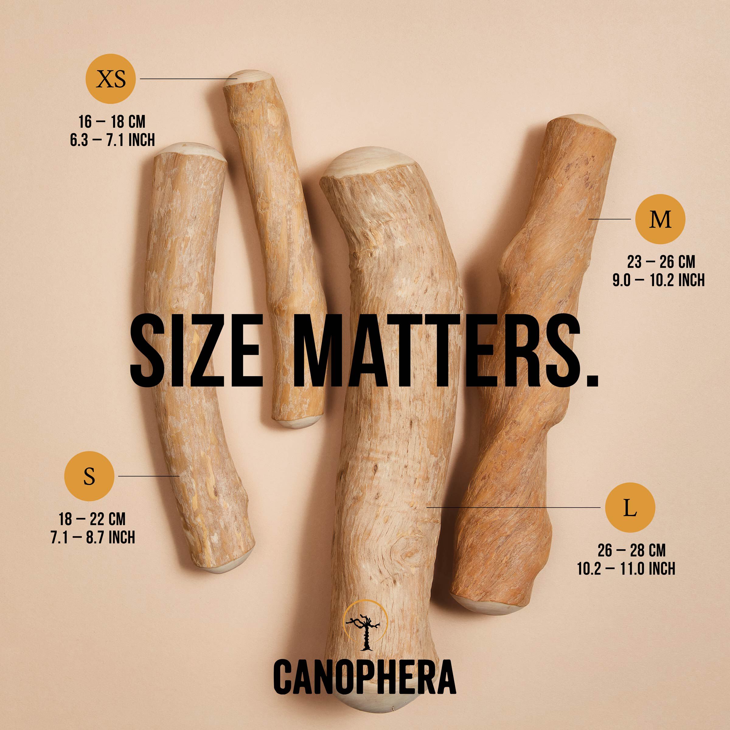 Palito Masticable para Perros de Madera de Caf&eacute; S, , large Imagen numero 3