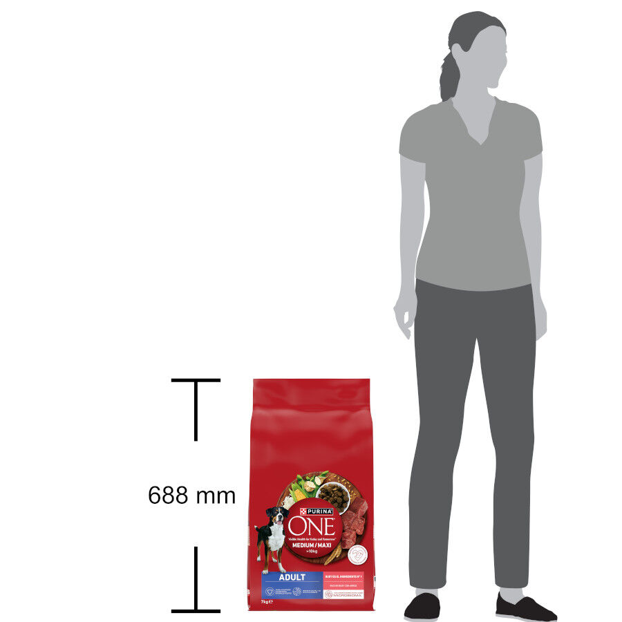 7 kg Purina One Pienso Buey para perros adultos, , large Imagen numero 4