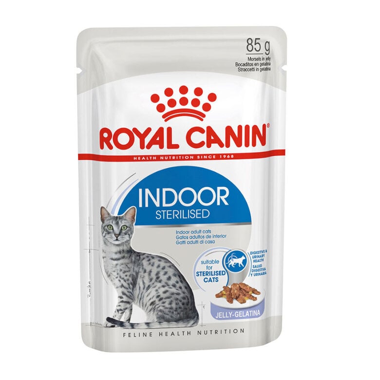48 sobres x 85 g Royal Canin Indoor Sterilised sobre en gelatina para gatos ¡Pack ahorro!
