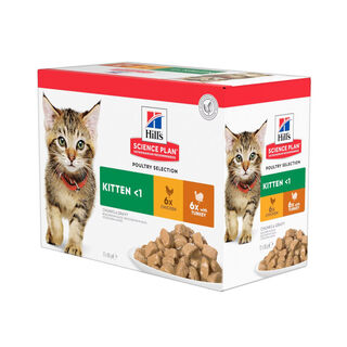 Hill's Science Plan Kitten Pollo y Pavo en Salsa sobre para gatos