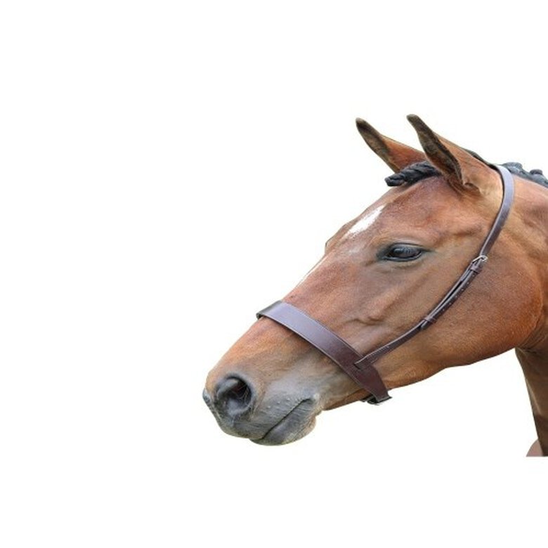 Blenheim Muserola de Cuero Marrón para caballos, , large image number null
