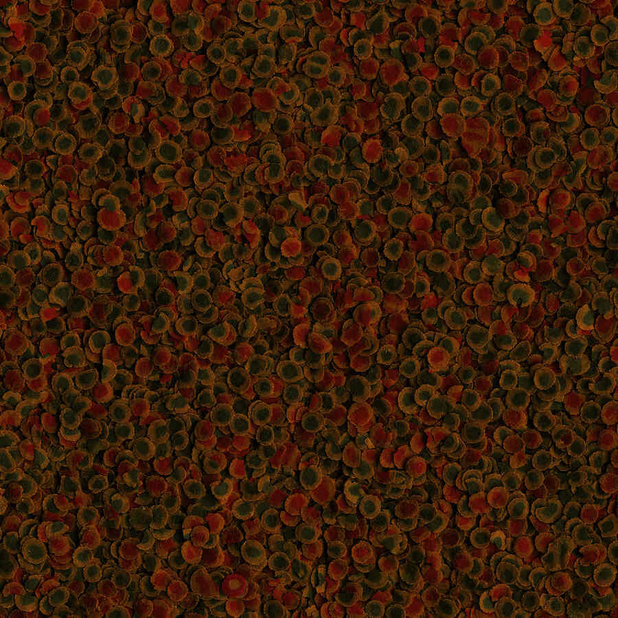 Tetra PRO Energy Multi-Crisps alimento para peces thumbnail