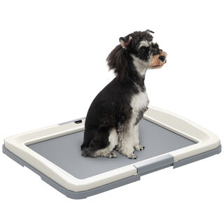 PawHut Bandeja de Entrenamiento Gris para Perros
