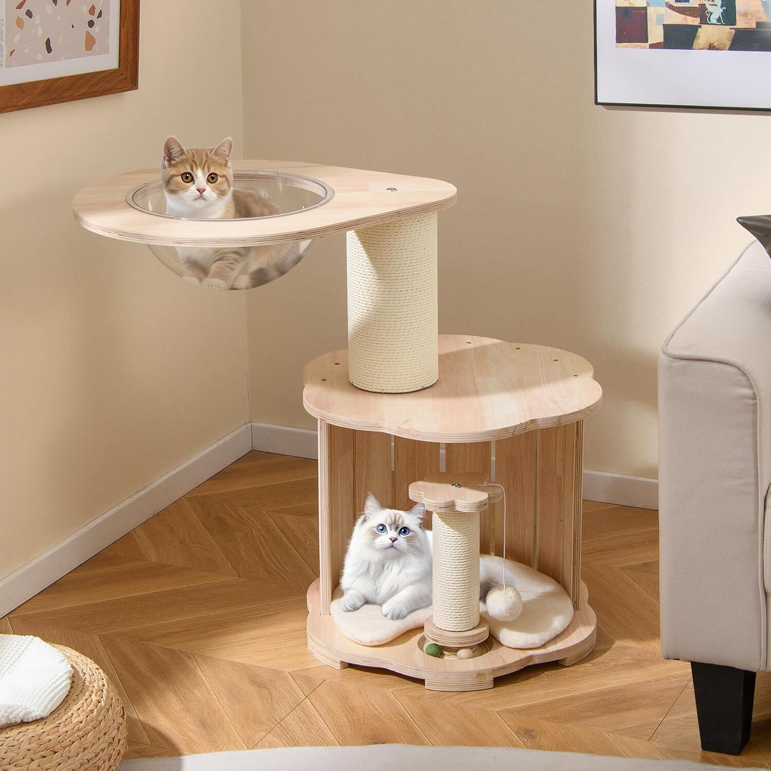 COSTWAY &Aacute;rbol Rascador Mediano para Gatos de Madera, Torre para Gatitos de 3 Niveles con C&aacute;psula Espacial Transparente, Condominio, Postes Rascadores y Alfombra Lavable, Cama para Gatos, 50x50x73cm, , large Imagen numero 2
