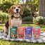 Floopp Bites Chewy Pack &ndash; Snacks Naturales para Perros, 4 Sabores, 8 x 75 g, , large indicador imagen numero 2