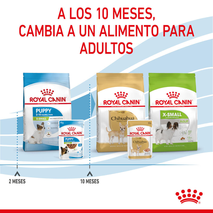 85 g Royal Canin X-Small Puppy Trocitos en Salsa sobre para perros, , large Imagen numero 10