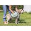 Toalla microfibra pets club, , large indicador imagen numero 4