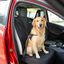 FUNDA DE PROTECCION PERROS O GATOS PARA COCHE SIMPLES MMPET, , large indicador imagen numero 2
