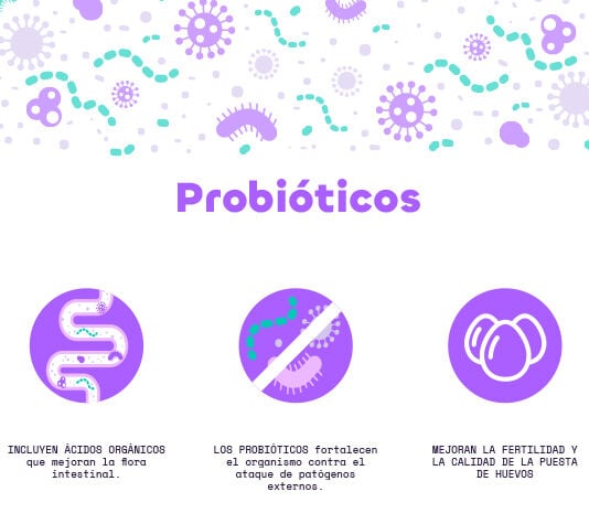 Finca Casarejo Poultry Plus Probiótico para Aves de Corral thumbnail