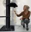Rascador Maine Coon Tower Crown para gatos color Negro, , large indicador imagen numero 3